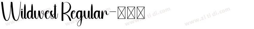Wildwest Regular字体转换